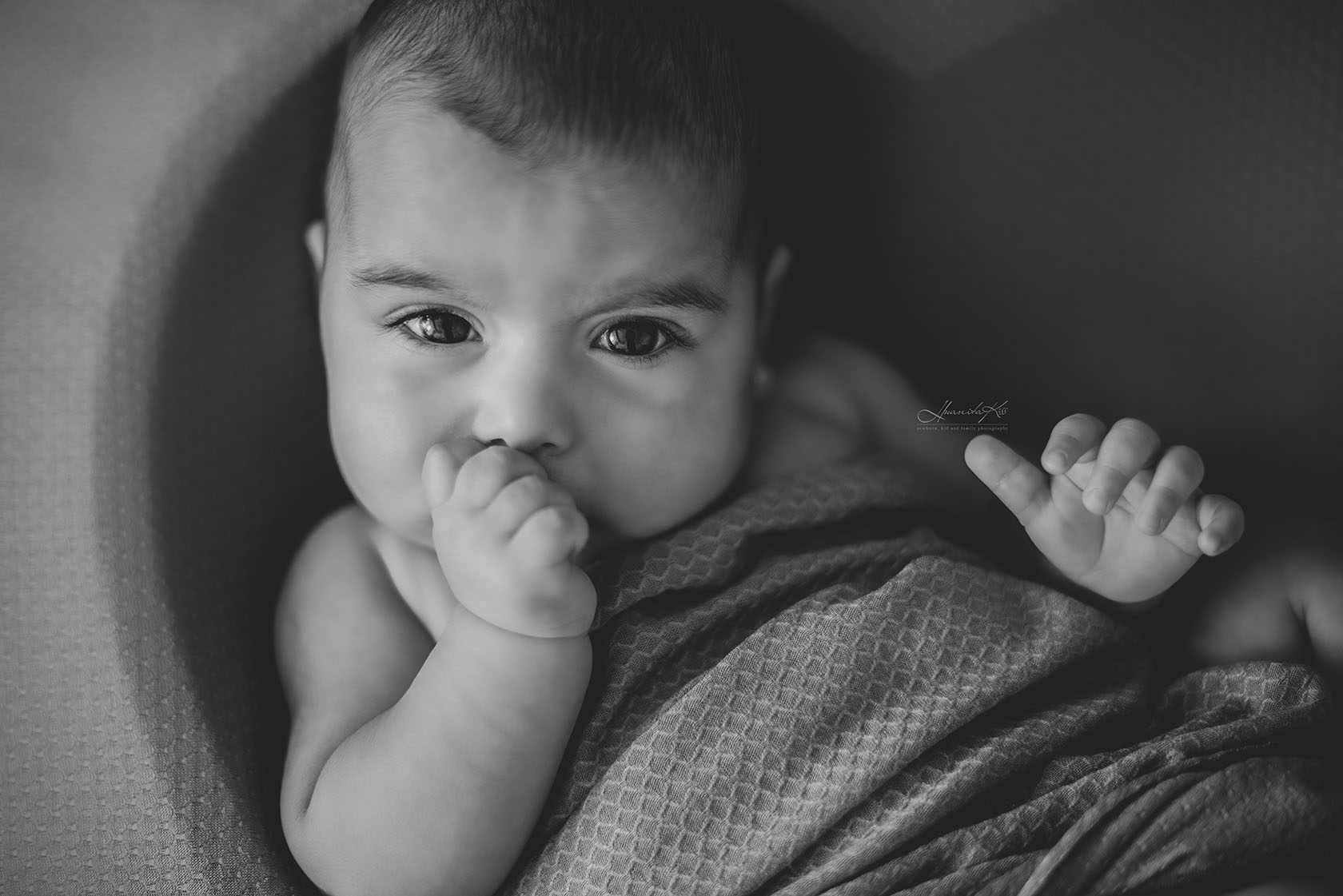 Bebe se uita gales in poza alb negru la sedinta foto de nou nascut